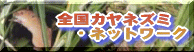 旧カヤネットホームページ