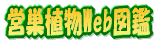 �c���A��Web�}��